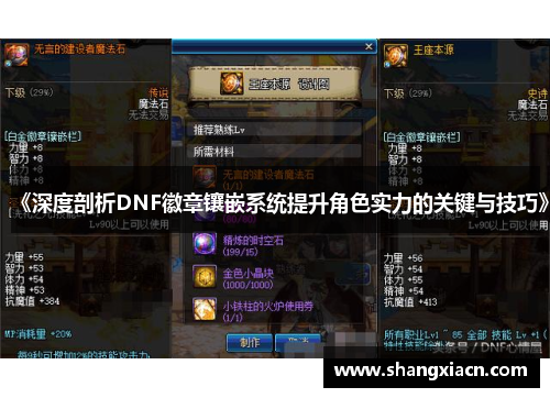 《深度剖析DNF徽章镶嵌系统提升角色实力的关键与技巧》