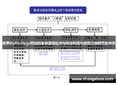 探索MyHeritage网站的家族基因检测与族谱构建功能助力族群历史传承